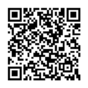 佟诗丽死死盯着那些设计图像是受到了极大震撼二维码生成