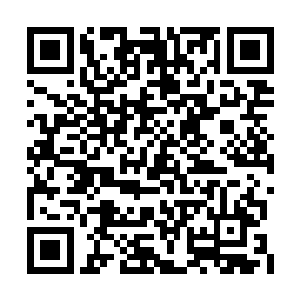佟诗丽这次出现的目的不仅仅是想要得到池总裁二维码生成
