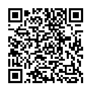 你一个人能不能像电影里面那样对付十几个壮汉二维码生成