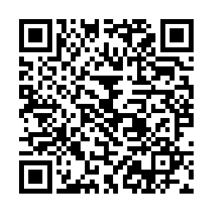 你不会想到内庭军督和内庭军佐都已经成了我的人吧二维码生成