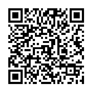 你不会打算就让我们两个这么在市中心转悠下去吧二维码生成