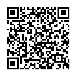 你不会打算让陈家沟的人都跟着陈挂面拜师学艺二维码生成