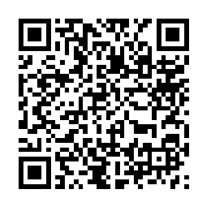 你不会真的以为这个毛头小子能抵挡修罗的攻击吧二维码生成