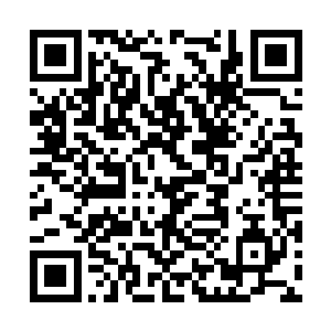 你不打算用接下来的事情换取我对你一生的仇恨么二维码生成