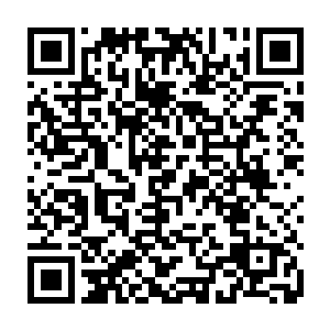 你不是已经和魔族的大地骑士同归于尽了吗……我们……我们还以为你死了二维码生成