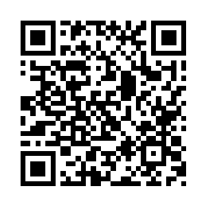 你不是常常把强者为尊实力至上挂在嘴边吗二维码生成