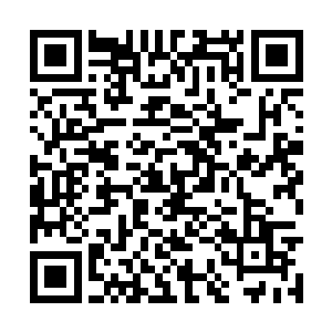 你不是说只要我破解九星罗布棋局就是我的女人嘛二维码生成