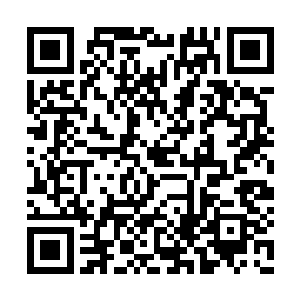 你不知道嫏嫏和嬛嬛出了这事我心里有多着急吗二维码生成