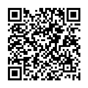 你不知道杜飞同根本不同意录用个人战力排行榜上的人二维码生成