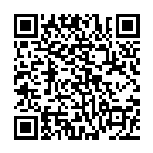 你不知道那些七阶光明圣师为了能达到八阶究竟有多么疯狂二维码生成