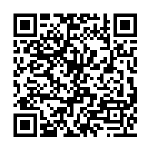 你不能让可怜的老巴姆连这点薪水都没着落……二维码生成