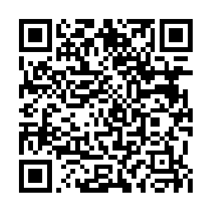 你不觉得那只她可以轻易驯服那只神兽很奇怪吗二维码生成