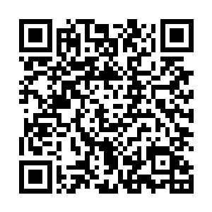 你为什么这么讨厌陈长生……虽然他有时候确实很讨厌二维码生成