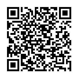 你也不看看我来符神界才多久就拥有了符神王实力二维码生成