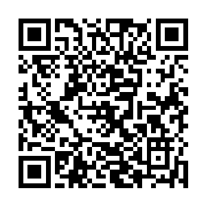 你也才用真面目示于我们多久就走了……还不带上我们二维码生成