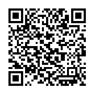 你也是你母亲辛辛苦苦怀胎三年零六个月方才生下来二维码生成
