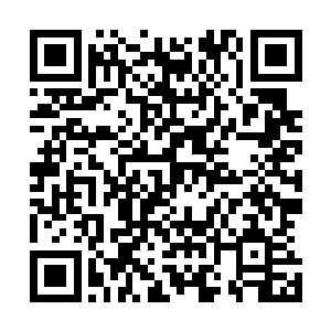 你也知道仇家不可能在这种时候做这么愚蠢的事情――只是二维码生成