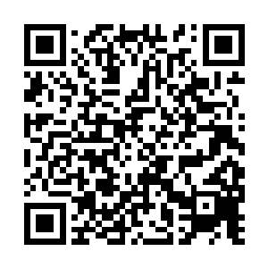 你也知道你对不起我……你简直从里到外的脏透了二维码生成