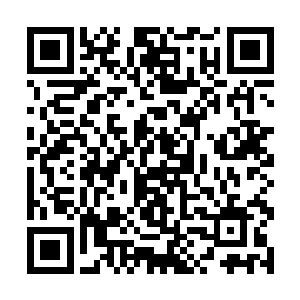 你也知道啊……天庭第三批舰队马上就要下流水线了二维码生成