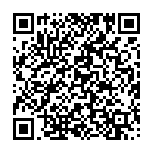 你也证明了自己的实力……可从来没有哪个超凡境能在三位入圣境的追击下二维码生成