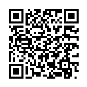 你今天来东南航空公司就是自投罗网二维码生成