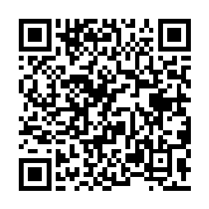 你仍旧是那只会在那个地方瞎转悠的路人乙而已二维码生成
