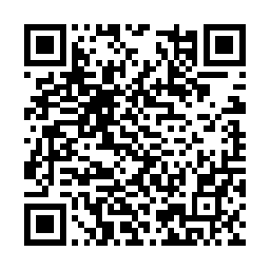 你以为一句对不起就能弥补你们当初造成的错误吗二维码生成