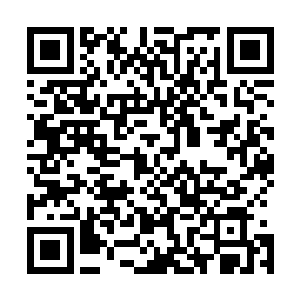 你以为一维是因为你是卫生厅厅长的儿子才招收你为学生吗二维码生成