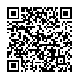 你以为你得到了祖巫残骸就能够重现当年巫族荣光吗二维码生成