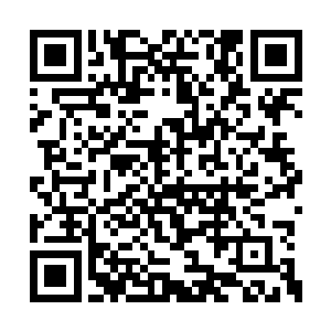 你以为四大选帝侯家族之间的盟约就这么不可靠二维码生成