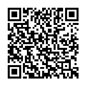 你以为在这里击退了个九阳境就能化干戈为玉帛二维码生成