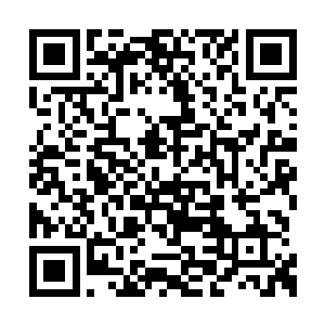 你以为我能在东海市这么混乱的局面之下生存吗二维码生成