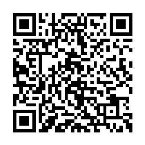 你以为用山河钟镇住那些垃圾老夫就没有帮手了二维码生成