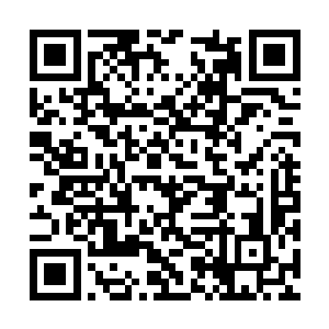 你以为这样卓天泽就没有脸面继续在天剑宗呆着了二维码生成