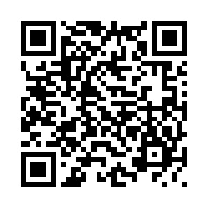 你以后就老老实实做你的看门狗吧二维码生成