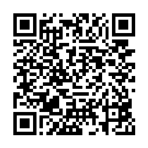 你们两个执法堂弟子难道就能代表执法堂的意思二维码生成