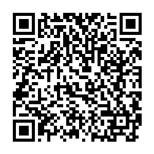 你们九原已经把黑森林以南包括原来原际部落附近的地盘全部拿下二维码生成