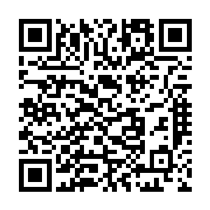 你们乡里现在就可以考虑推选一个企业管理委员会来二维码生成