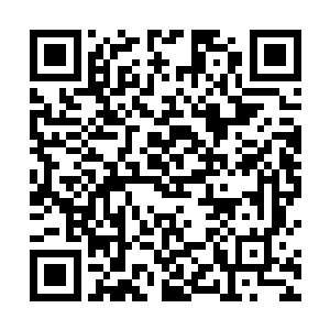 你们刚觉醒的人吃了含高能量的肉需要更多时间来消化二维码生成