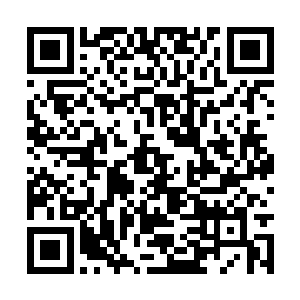 你们却都不在了……谁敢毁灭我的家啊……是谁啊二维码生成