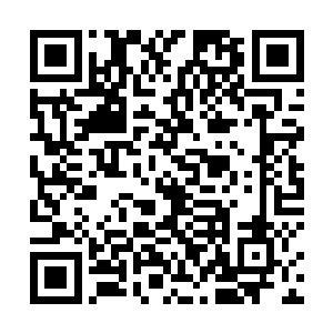 你们可以先将属于你们的那一部分火种先捞到自己身上二维码生成