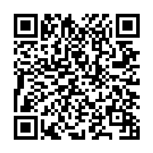 你们可知我们背后的家族在圣界究竟有多么无边的威能二维码生成