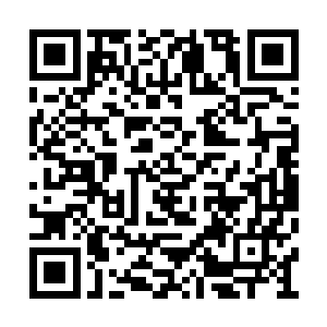 你们可知道地灵族族长是我们百族阵道第一宗师二维码生成