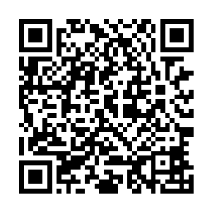 你们君主阁现在可是根本就没有大修者坐镇看家的关键时候二维码生成