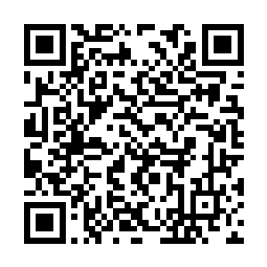 你们堂堂一个领主难道就没有聘请招募杀手护卫的二维码生成