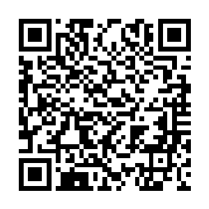 你们安排几个人把这地上的几个家伙都给送医院去二维码生成