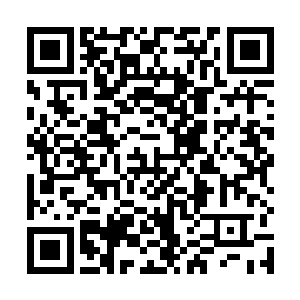 你们就算不给凤瑾元面子也得给济安郡主和本王的面子二维码生成