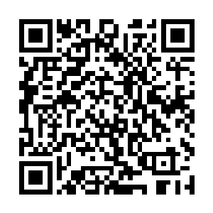 你们找了那么长时间的新生大巫怎么就恰好给我碰上二维码生成