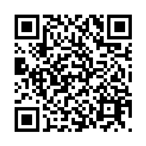 你们方家和成家处处与我腾龙殿作对二维码生成