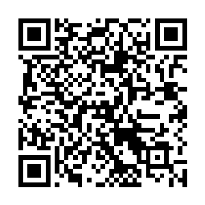 你们日本人是不是在诬赖人这方面经历过特殊的训练啊二维码生成